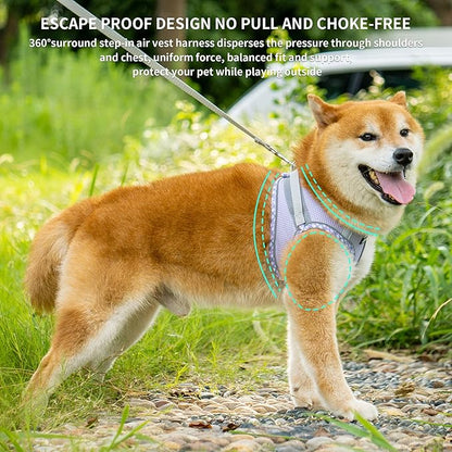 AIITLE Dog Harness and Leash Set - Ultra-Comfortable XXS-XL Vest with Strong Magic Tape & Glow-in-Dark Reflective Strips, Chafe-Free for Teddy, Schnauzer (Purple, M)