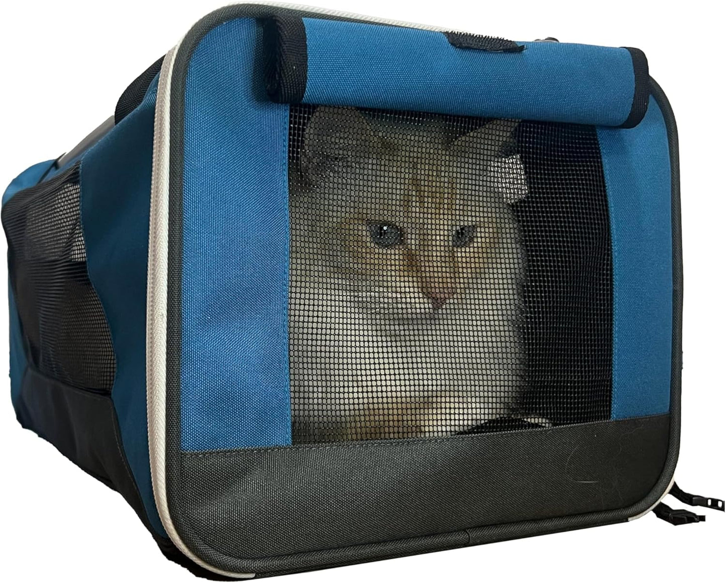 Travel Cat The Odyssey Soft Cat Carrier - Portable Comfort Soft Sided Travel Carrier for Small, Medium Cat, Kitten up to 20 LBs - Pet Travel Carrier Backpack with Shoulder Strap (Blue)