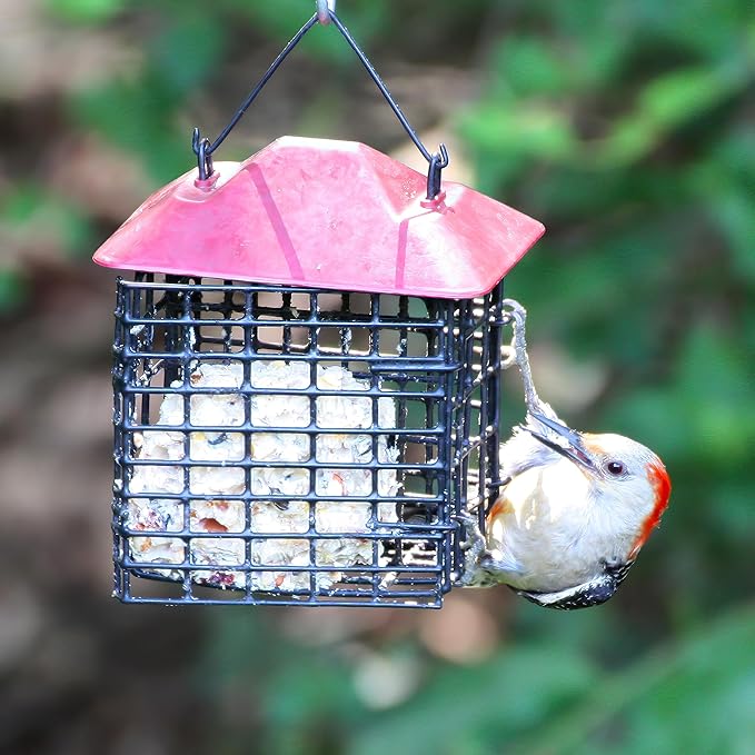 Lyric Fruit & Nut Wild Bird Seed Suet Cakes for Wild Birds, 12 oz. (12 Pack)