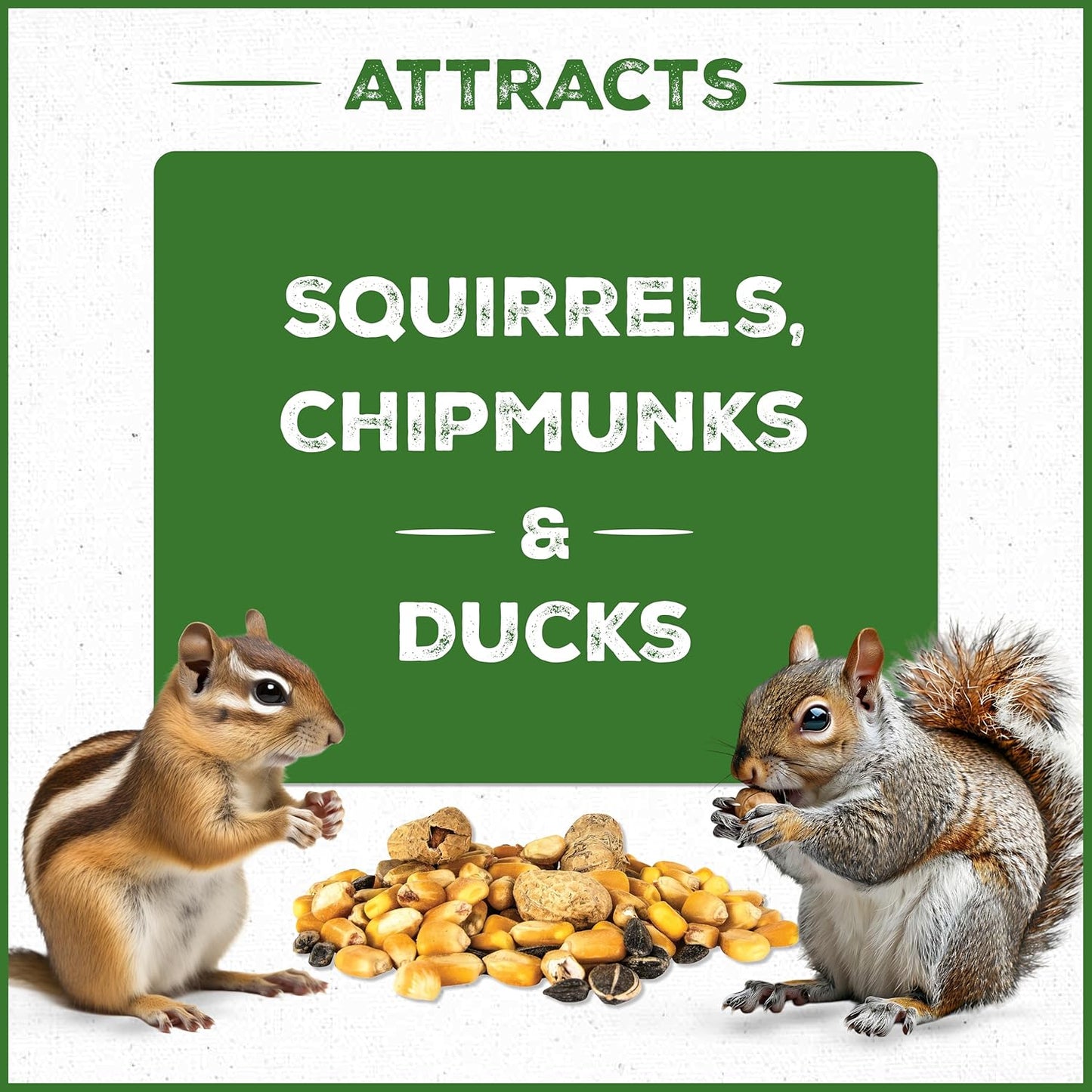 Pennington Pride Squirrel & Critter Blend With Corn, Sunflower Seeds and Peanuts, Helps Keep Critters Away From Bird Feeders, 10-lb. Bag