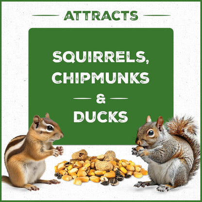 Pennington Pride Squirrel & Critter Blend With Corn, Sunflower Seeds and Peanuts, Helps Keep Critters Away From Bird Feeders, 10-lb. Bag