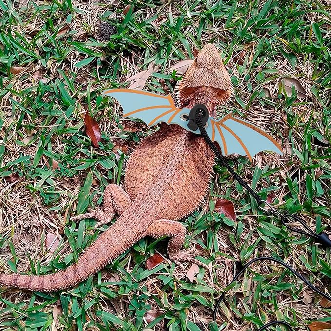 ADOGGYGO Bearded Dragon Harness, Blue, Wing Style, Animal Harness, 3 Size Pack, Soft Leather, Durable Nylon Rope, Removable Leash, Suitable for Baby to Adult Beardies