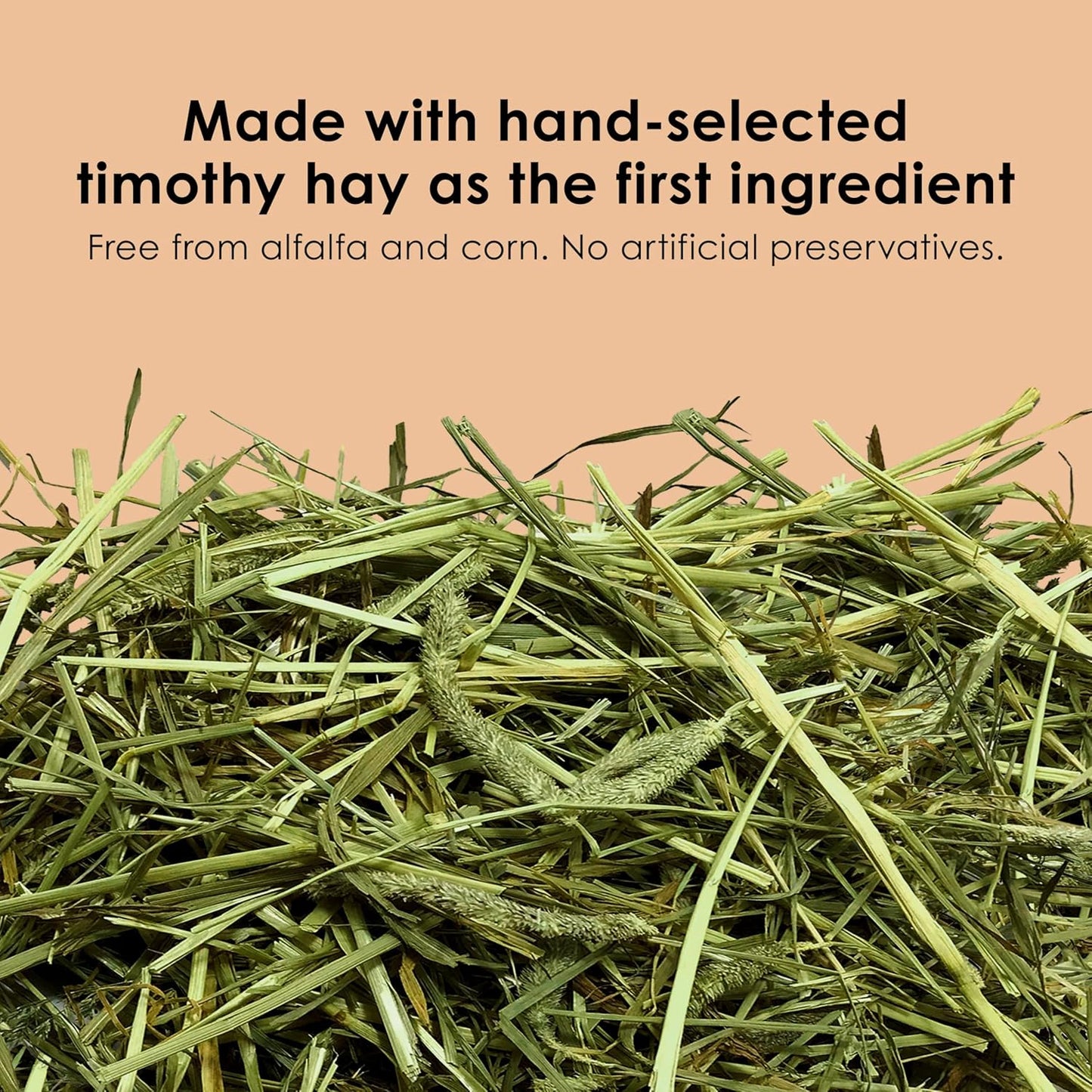 Kaytee Timothy Complete Rabbit Food, Made with Timothy Hay, High in Fiber, Supports Dental Health and Digestion, 9.5 pounds