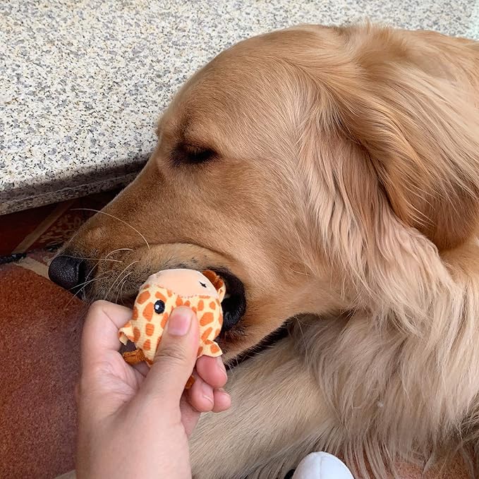 Jalousie 12 Pack Plush Animal Dog Toy, Premium Squeaky Chew Toys for Small Medium Dogs, Stuffed Puppy Toys for Pets - Dental Cleaning & Stress Relief