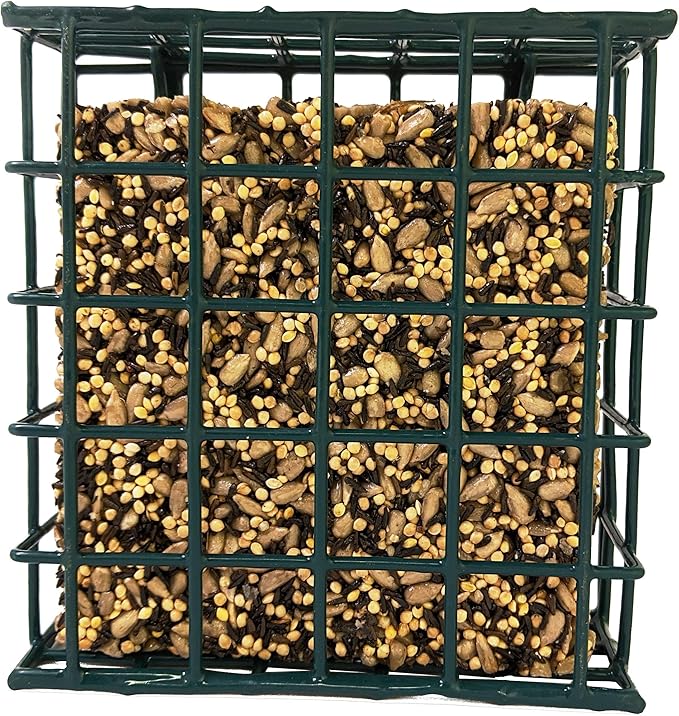 Songbird Treats Seed Bars | 12 Pack of 7 oz Bird Seed Cakes for Wild Birds (Sunny Mealworm)