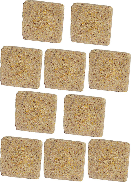 ST. ALBANS BAY SUET PLUS Suet Cake Variety Packs | 11 oz. Wild Bird Suet Cakes | (Peanut, 10 Pack)
