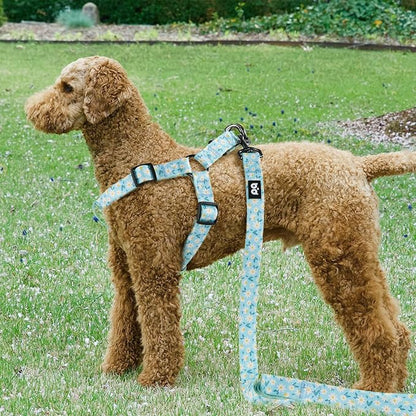 QQPETS Dog Harness Leash Set Adjustable Heavy Duty No Pull Halter Harnesses for Small Medium Large Breed Dogs Back Clip Anti-Twist Perfect for Walking