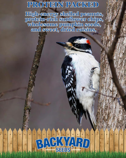 CountryMax Backyard Seeds Woodpecker No Waste Mix Shelled Peanuts Mixed Bird Seed with Sunflower Chips, Pumpkins, Raisins (20 Pounds)