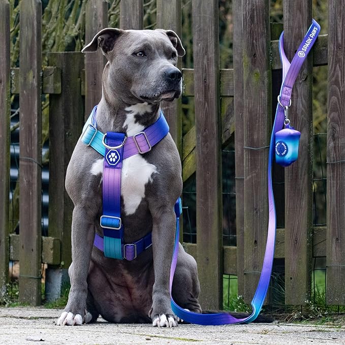 Spark Paws No Pull Dog Harness for Large Dogs, Heavy Duty Dog Harness for Big Strong Breeds, Adjustable, Y Shaped Padded Halter Design with Front Clip - 90s Retro – M