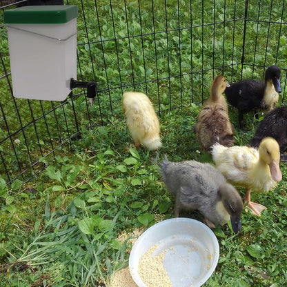 No-Drip Rabbit Water Bottle for Cage, 2Pack 16oz Small Animal Water Dispenser Water Bottle for Small Pet/Bunny/Ferret/Hamster/Guinea Pig/Rabbit/Chinchilla/Mouse (Clear, 16 Ounce)