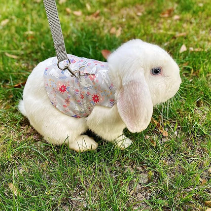 2-Pack Small Pet Harness & Leash Set – Soft, Adjustable Vest for Rabbits, Kittens, Squirrels & More (Grey, L)