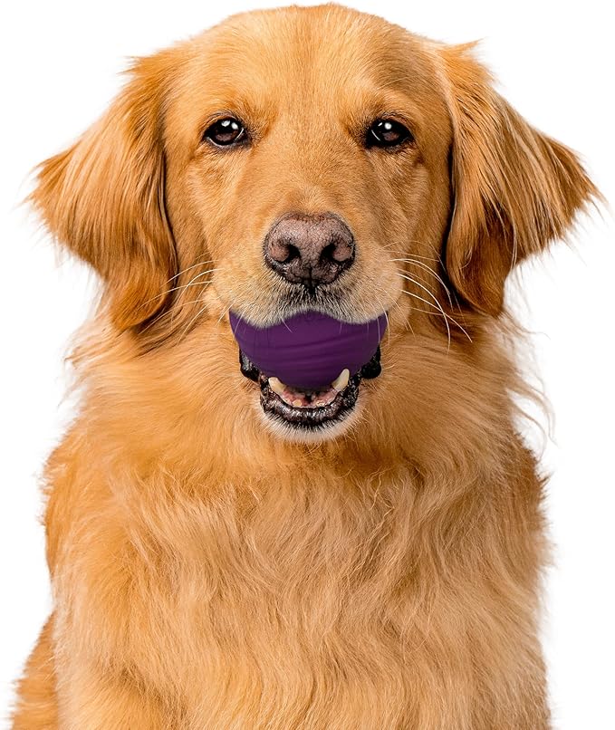 Playology Dog Toys | Dual Layer Ball Durable Chew Toy for Aggressive Chewers | Jumbo Bacon Scented Toy - Easy to Clean and Made from Non Toxic Materials