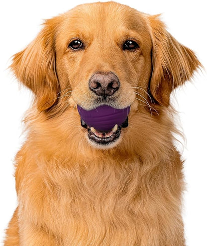 Playology Dog Toys | Dual Layer Ball Durable Chew Toy for Aggressive Chewers | Jumbo Bacon Scented Toy - Easy to Clean and Made from Non Toxic Materials