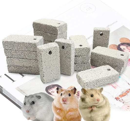 18 Pcs Small Animal Pet Lava Bites Chews Toy Mineral Calcium Stone Bunny Teeth Grinding Block for Hamster Chinchilla Rabbit Squirrel Rat Parrot Guinea Pig