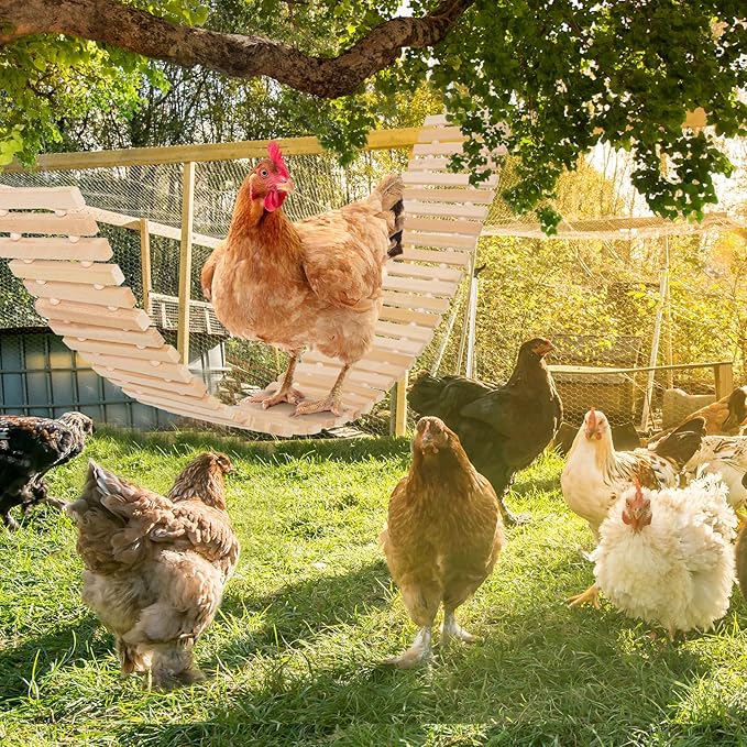 Chicken Coop Toy Natural Wooden Chicken Swing & Bridge Toys Multi-Functional Poultry Perch with Wooden Beads (Safe for Chickens/Ducks)