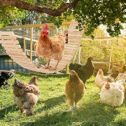 Chicken Coop Toy Natural Wooden Chicken Swing & Bridge Toys Multi-Functional Poultry Perch with Wooden Beads (Safe for Chickens/Ducks)