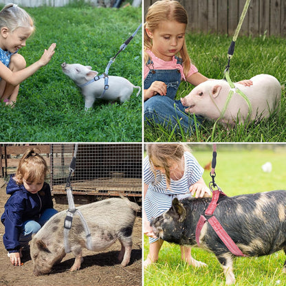 Mini Pig Harness, Adjustable Small Pig Harness with Leash Infinity Style Lead and Soft Foam Handle for Small to Medium Pet Pigs Walking Training Jogging (Red, L)