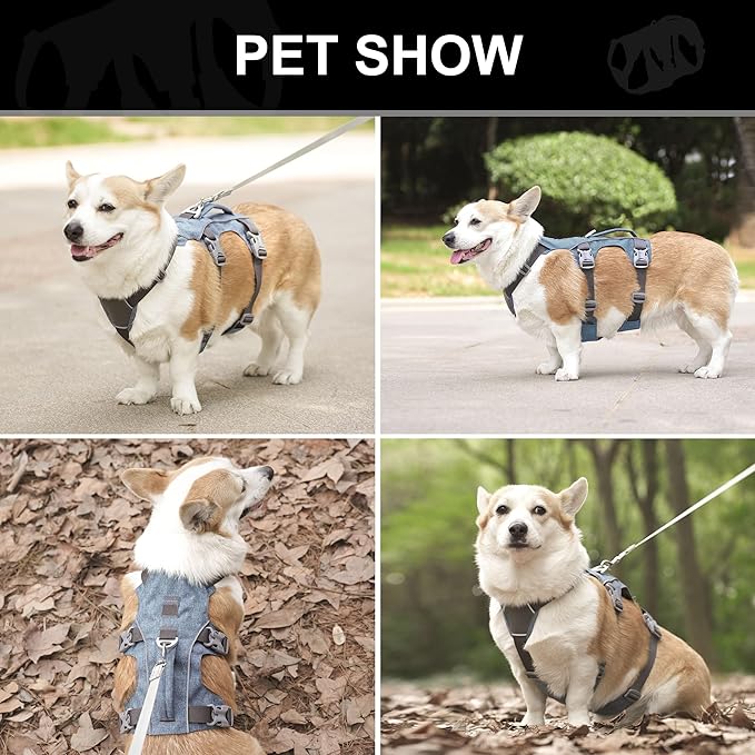 Escape Proof Dog Harness with Handle - Reflective No Pull Dog Vest, Lightweight Full Body Pet Harness Adjustable for Small Dogs Walking,Training(Blue,Chest:14-22")
