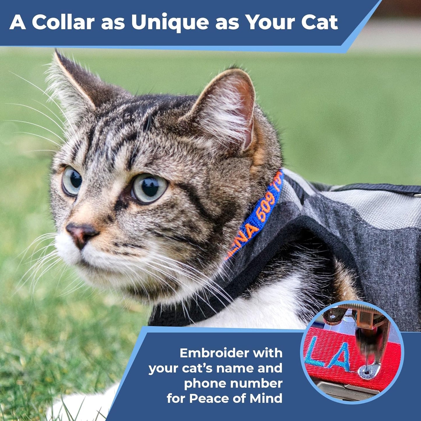 GoTags Personalized Cat Collar with Embroidered Name and Number, Safety Breakaway Buckle Snag-Proof Design, Adjustable Customized Nylon ID Collar with Bell for Cat or Kitten, 5 Color Options