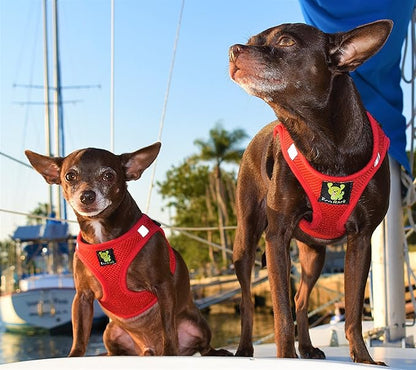 EcoBark Small Dog Harness for Toy Breed Dogs & Puppies - No Pull Soft Luxury Mesh - Step in Harness Halter Vest - Cute Adjustable Little Halter Body Wrap 7-10 lbs (Red, Small)