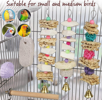 Parrot Chewing Toys (6 pcs) Natural Cuttlebone Bird Beak Trimmer Grinding Stone Lava Block Calcium Stone Bird Perch Cage Toys for Small and Medium Parakeets, Cockatiels, Conures, Budgies, Lovebirds