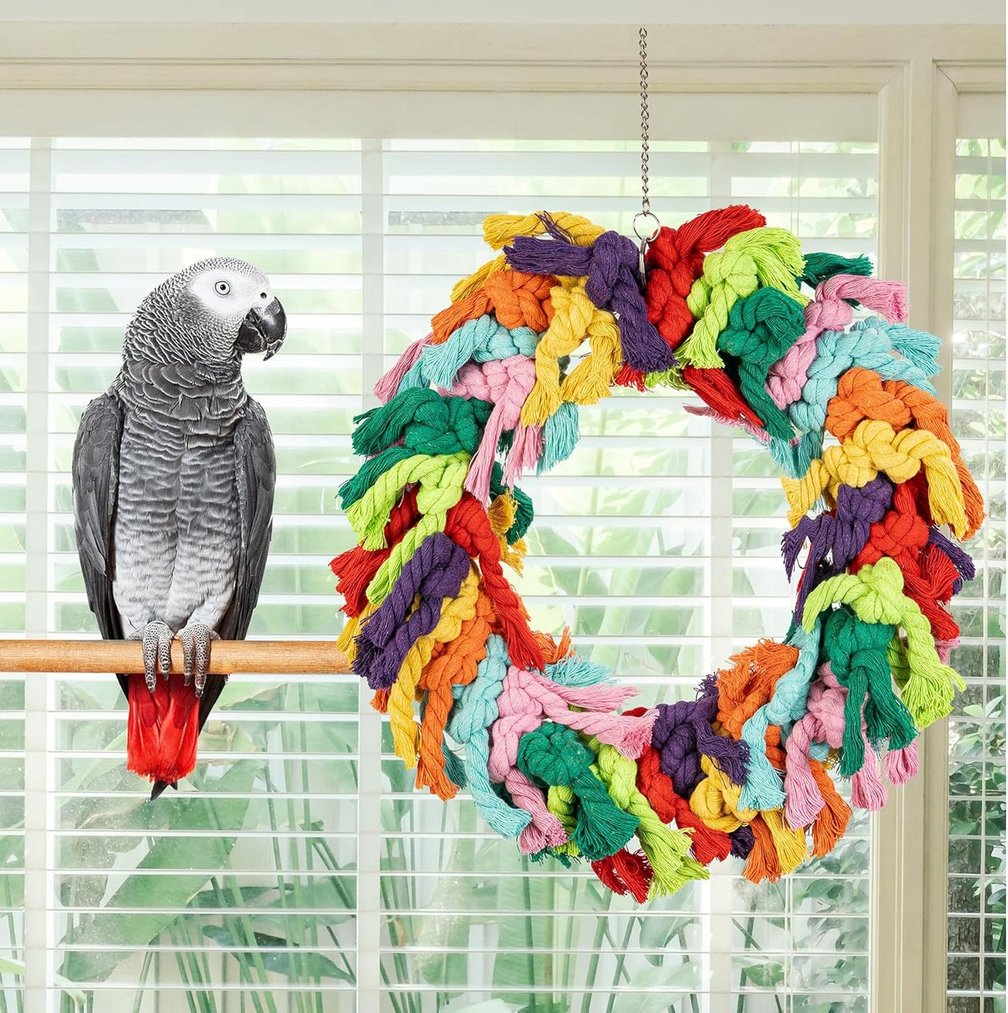 Parrot Swing for Large Birds - Colorful Cotton Rope Hanging Ring Toy for African Grey, Cockatoo, Conure, and Parakeet | Chewing, Exercise, Climbing, and Snuggling