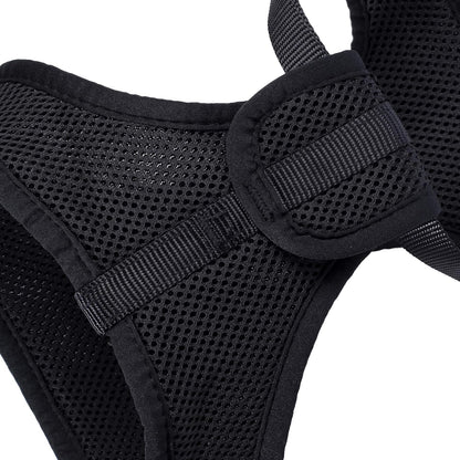 Mile High Life Step in Dog Harness for Small Dogs No Pull, Easy Get on Air Mesh Vest Harness, Adjustable Easy Closures Both Neck and Chest (Black, L Chest 21.6"-43.2")