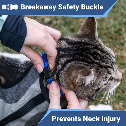 GoTags Cat Collars with Personalized Tag, Breakaway Collar with Safety Buckle Matching Bell, Engraved Custom with Name and Phone, Adjustable for Cats and Kitten, (Orange with Nameplate)