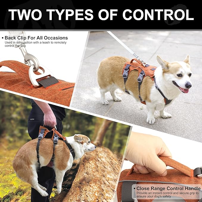 Escape Proof Dog Harness with Handle - Reflective No Pull Dog Vest, Lightweight Full Body Pet Harness Adjustable for Small Dogs Walking,Training(Blue,Chest:14-22")