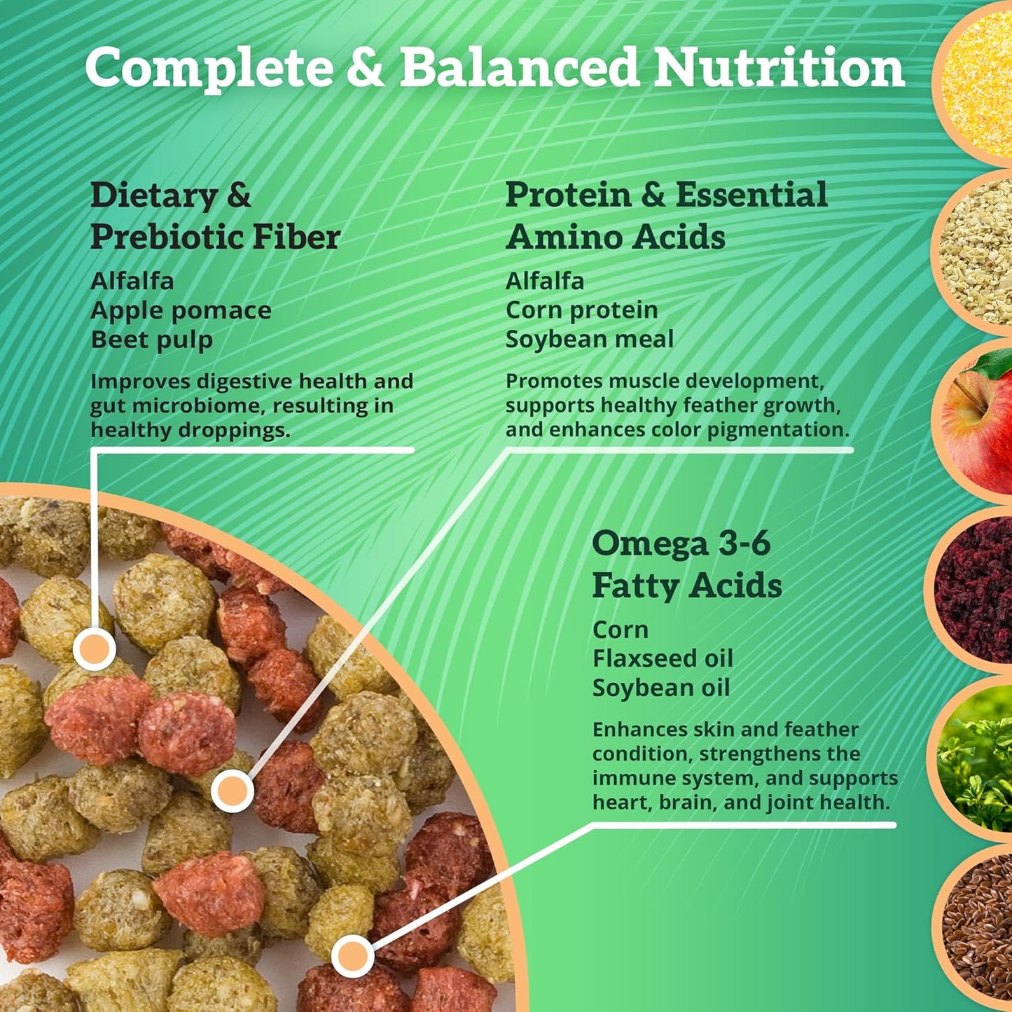 Scenic Hot & Healthy Food for Cockatiels, Parakeet, Lovebird Food