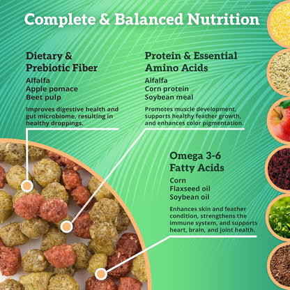 Scenic Hot & Healthy Food for Cockatiels, Parakeet, Lovebird Food