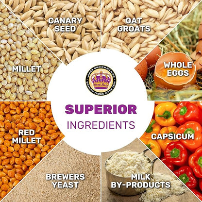 LEACH GRAIN & MILLING CO. Parakeet Food Plus, 5lbs Premium Parakeet Bird Food, Nutrient-Rich Blend, No Waste Bird Seed for Outside Feeders, Birdseed with Vitamins & Minerals, Supports Energy & Growth