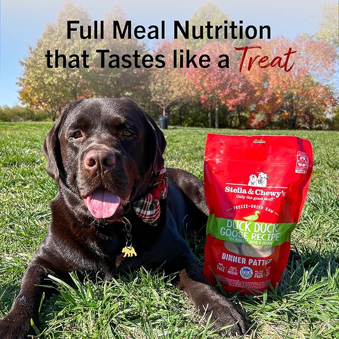 Stella & Chewy's Freeze-Dried Raw Dinner Patties - Duck Duck Goose Recipe - High Protein Grain-Free Puppy & Dog Food - Perfect For Picky Eaters - 5.5 oz