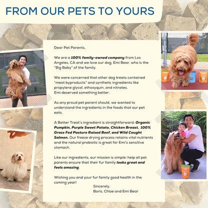 A Better Treat – Organic, Single Ingredient, Freeze Dried Pumpkin, Grass Fed & Finished Beef Liver, Chicken, Sweet Potato, Wild Salmon Dog Treats & Cat Treats | Natural Diabetic Friendly | Made in USA