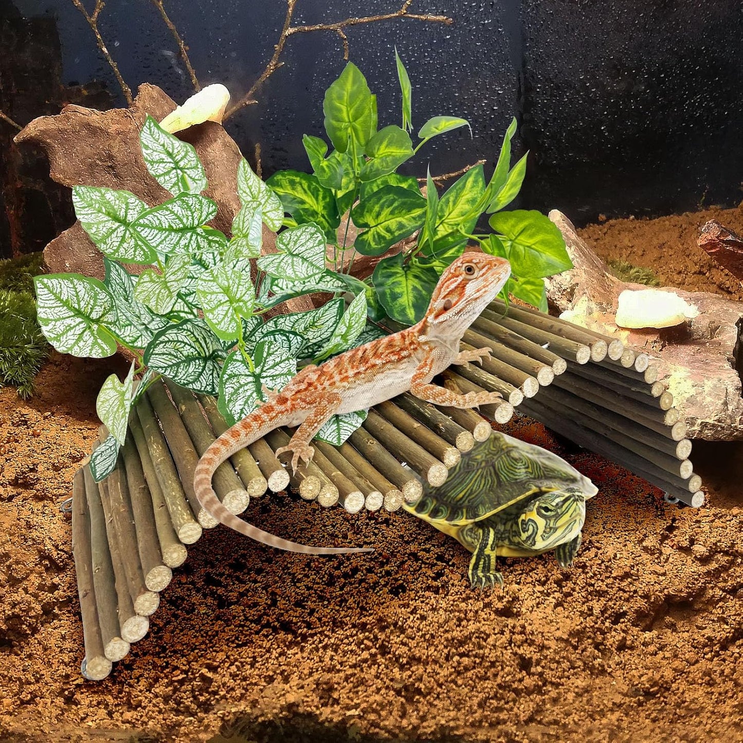 BNOSDM Reptile Hide Tortoise Hideout Bearded Dragon Wooden Bridge Snake Climbing Tunnel Habitat Decor for Lizards Spiders Gecko Ball Python (Small)