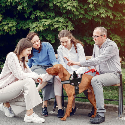 Dogline Dog Harness, Reflective No-Pull Adjustable Vest with Handle for Walking, Training, Breathable, No - Choke Harness for Small, Medium or Large Dogs Room for Patches Leopard Rainbow XS 15"-18"