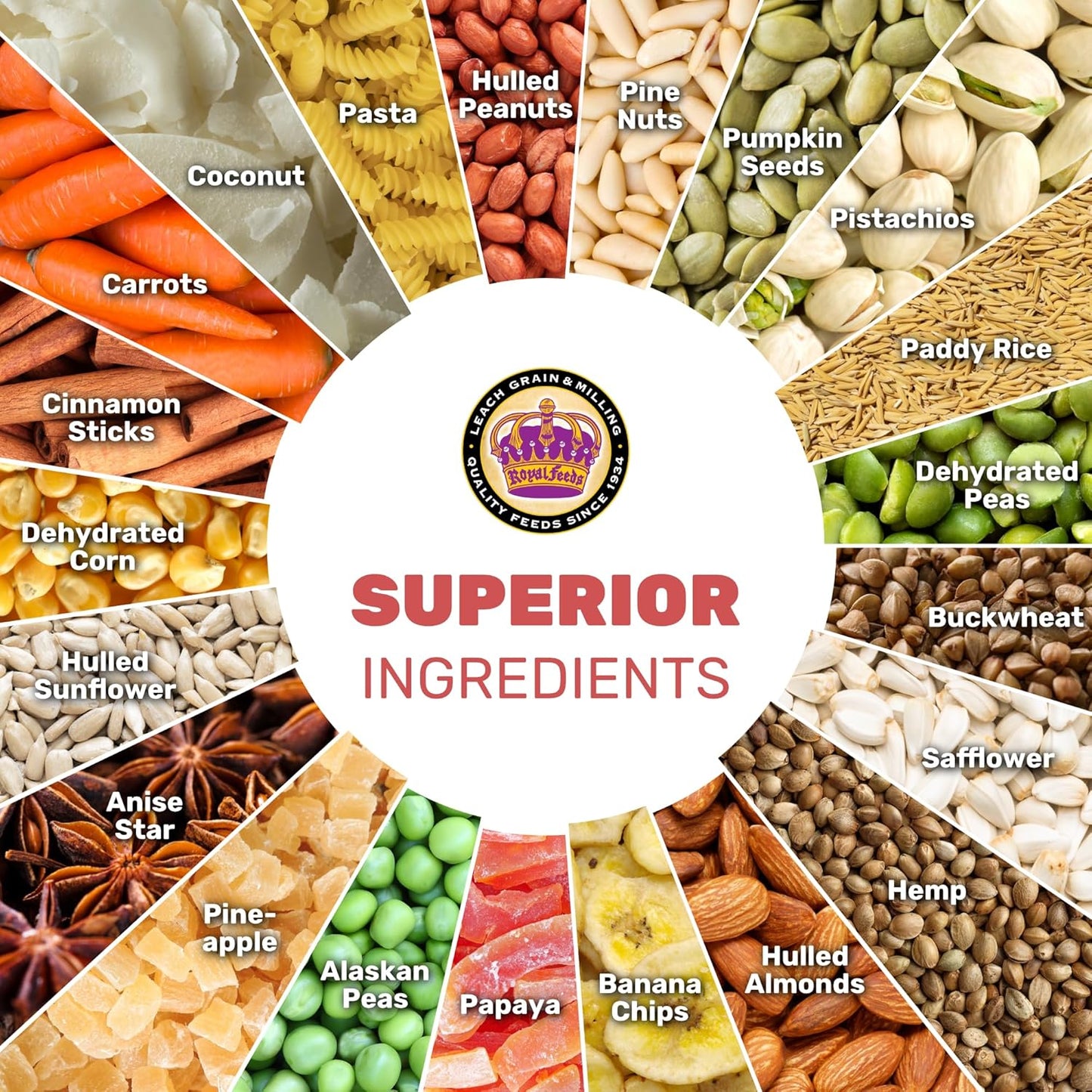 Large Hookbill Cuisine 4 Lbs, Premium Blend Bird Seed for Large Parrots, Cockatoos & Macaws, Parrot Bird Food with Mixed Fruits and Vegetables, Supports Brain, Growth, and Healthy Balanced Diet