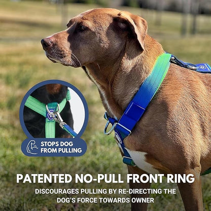 Spark Paws No Pull Dog Harness for Large Dogs, Heavy Duty Dog Harness for Big Strong Breeds, Adjustable, Y Shaped Padded Halter Design with Front Clip - Lime Wave - M