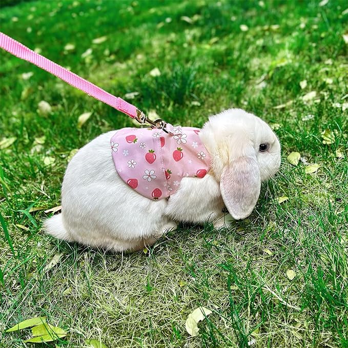 2-Pack Small Pet Harness & Leash Set – Soft, Adjustable Vest for Rabbits, Kittens, Squirrels & More (Pink, L)