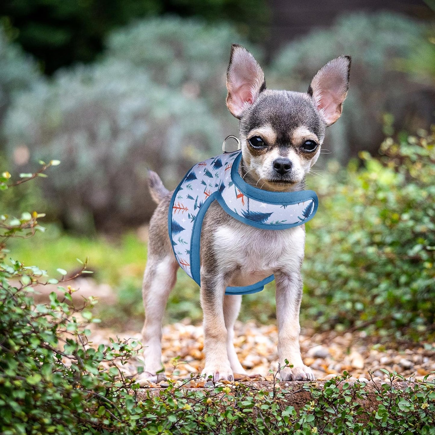 Mile High Life Dog Harness, Air Mesh Floral Vest Harness for 20 lbs Small Dogs & Cats, Easy Get on Adjustable Easy Closures Both Neck and Chest(Gray Tree, S Chest 16"-18")