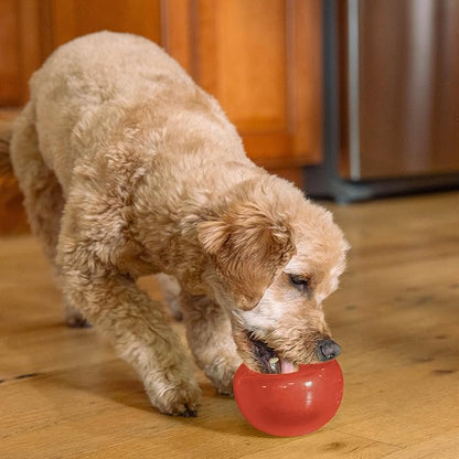 Outward Hound Lil' Snoop Interactive Treat Dispensing Dog Toy, Puzzle Ball Slow Feeder for Small to Medium Dogs, Mint-Scented for Mental Stimulation & Boredom Relief, BPA-Free, 3.9-Inch, Red