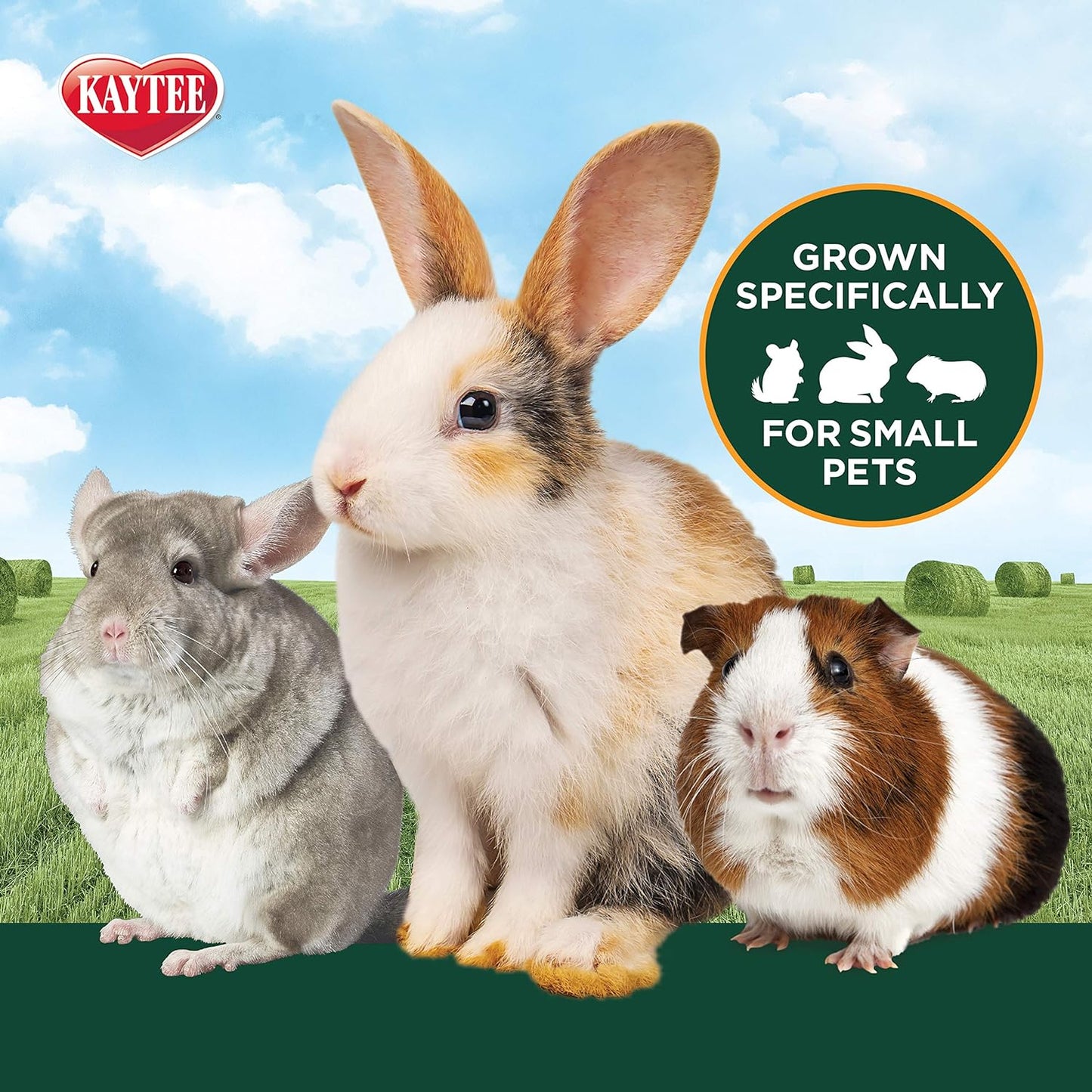 Kaytee Timothy Hay Plus Spearmint/Marigold/Carrot 3 Flavor Variety Pack for Pet Guinea Pigs, Rabbits & Other Small Animals, 60 Ounce (Pack of 1)