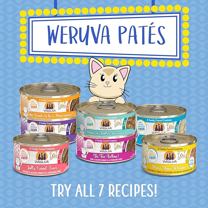 Weruva Wet Cat Food, Who Wants to be a Meowionaire with Chicken and Pumpkin Pate, 3oz Can, Pack of 12