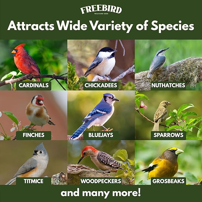 Premium No Mess Bird Seed by Freebird - Peanut Pieces, Sunflower Hearts, Sunflower Chips - 100% Waste Free Bird Food for Finches and Small Songbirds - 7lb Bag