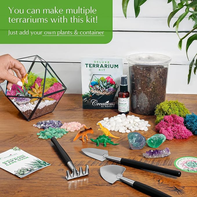 – DIY Large Terrarium Starter Kit with Soil, Moss, Pebbles, Healing Crystal, Tools & Supplies – Terrarium Kit for Adults & Kids, Handcrafted in USA
