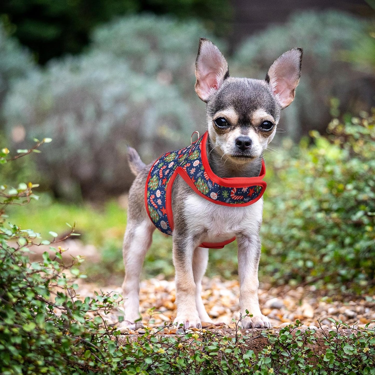 Mile High Life Velcro Dog Harness, Air Mesh Floral Vest Harness for 20 lbs Small Dogs & Cats, Easy Get on Adjustable Easy Closures Both Neck and Chest(Red Tree, S Chest 16"-18")