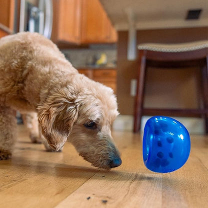 Outward Hound Lil' Snoop Interactive Treat Dispensing Dog Toy, Puzzle Ball Slow Feeder for Small to Medium Dogs, Mint-Scented for Mental Stimulation & Boredom Relief, BPA-Free, 3.9-Inch, Blue