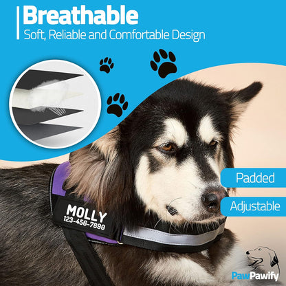 PawPawify Custom No Pull Dog Harness with Name and Phone Number, Heavy Duty Personalized Pet Vest to Prevent Tugging, Pulling, or Choking, Training and Walking (Purple, M (Chest 20-24in))