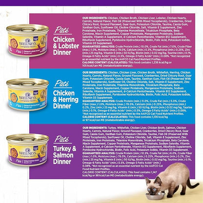 Wellness Complete Health Pate Adult Wet Cat Food, Natural, Protein-Rich, Grain-Free, 3 Ounce, 24 Pack, (Seafood Favorites Variety Pack)