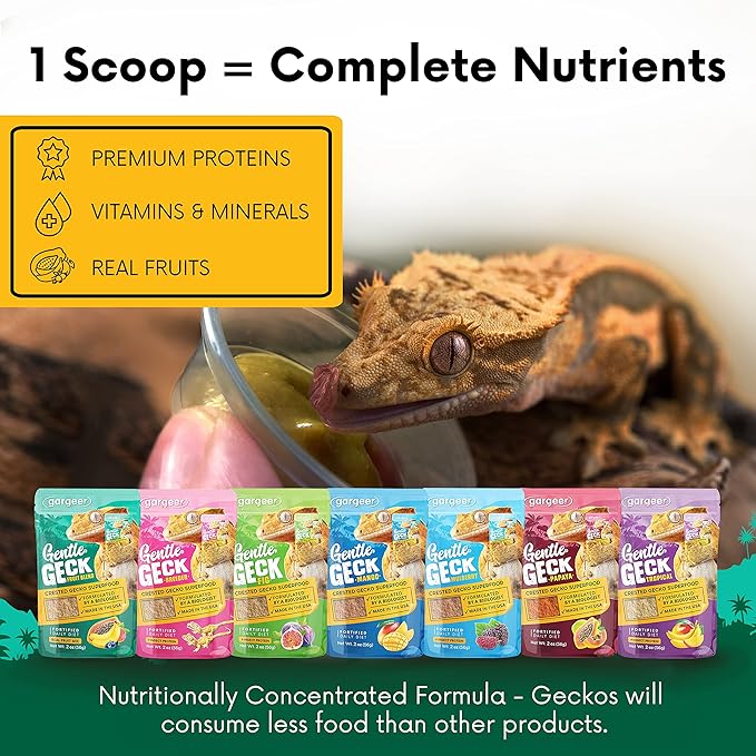 2oz Complete Crested Gecko Food Diet. Premium Mix, Ready to Use Freshly Made Powder. Unique Formula, Developed & Made in The USA. Enjoy! (Fruit Blend)